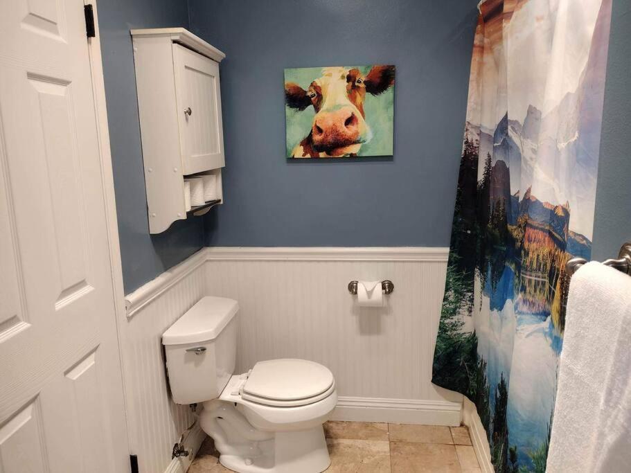 Peaceful & Cozy 3 Bedroom Ranch-Home W/Fireplace 赫米特 外观 照片
